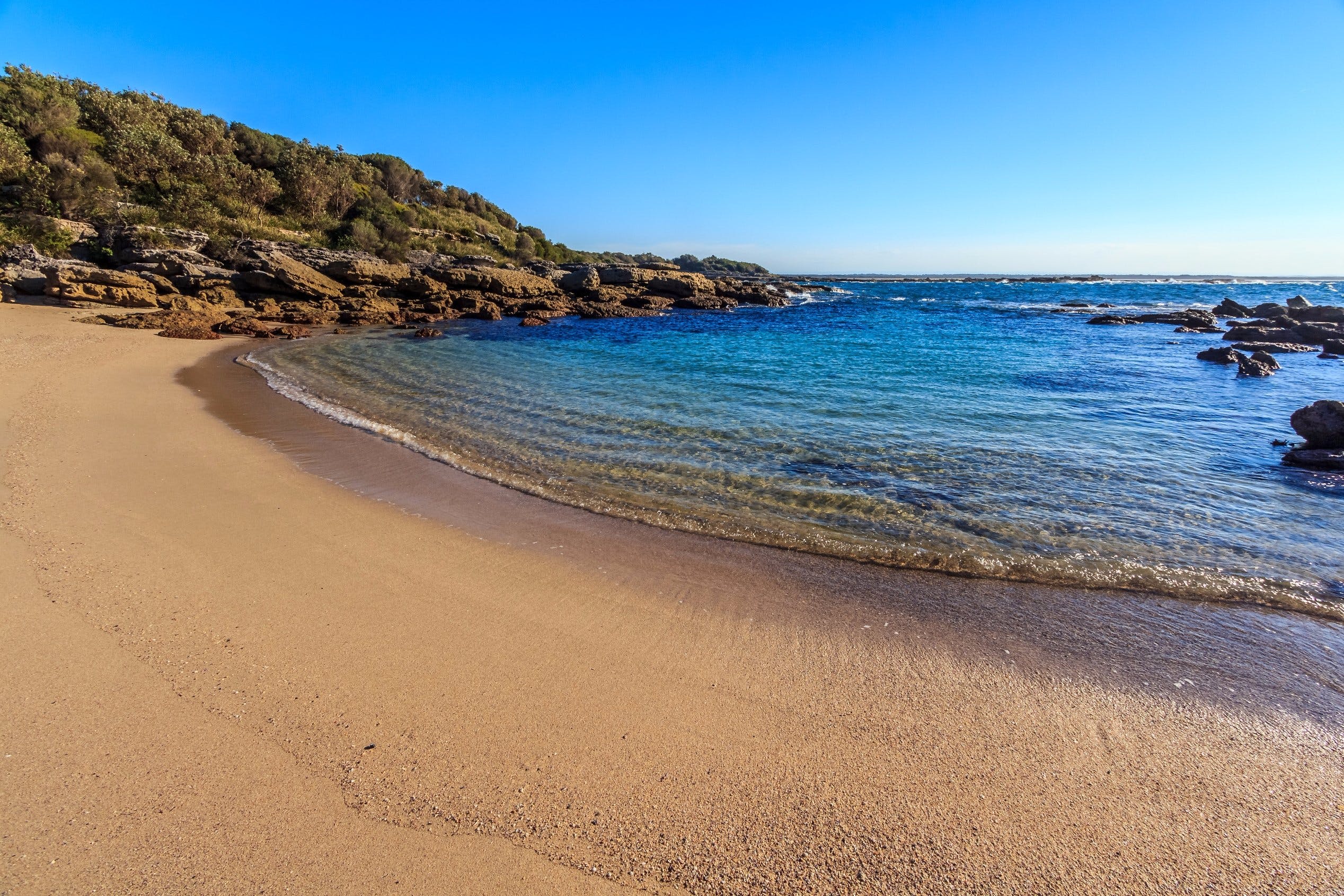 Wilsons Beach Logo and Images