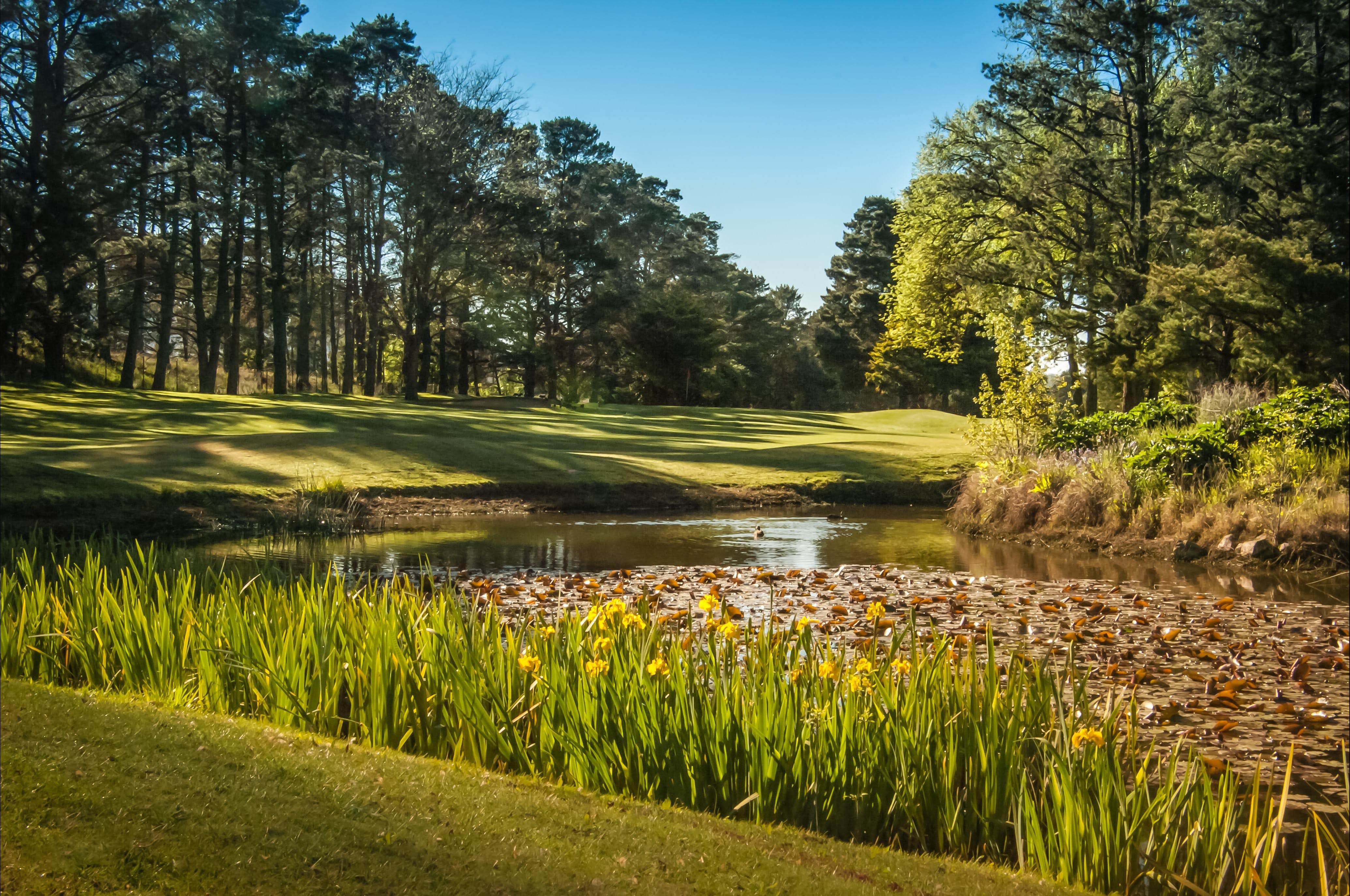 Yowani Country Club Incorporated Logo and Images