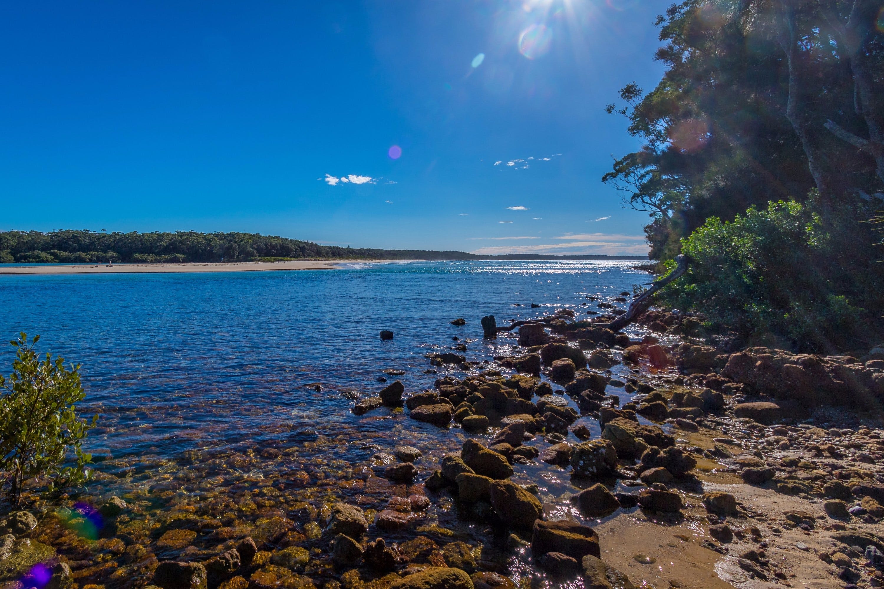 Buckleys Beach Logo and Images
