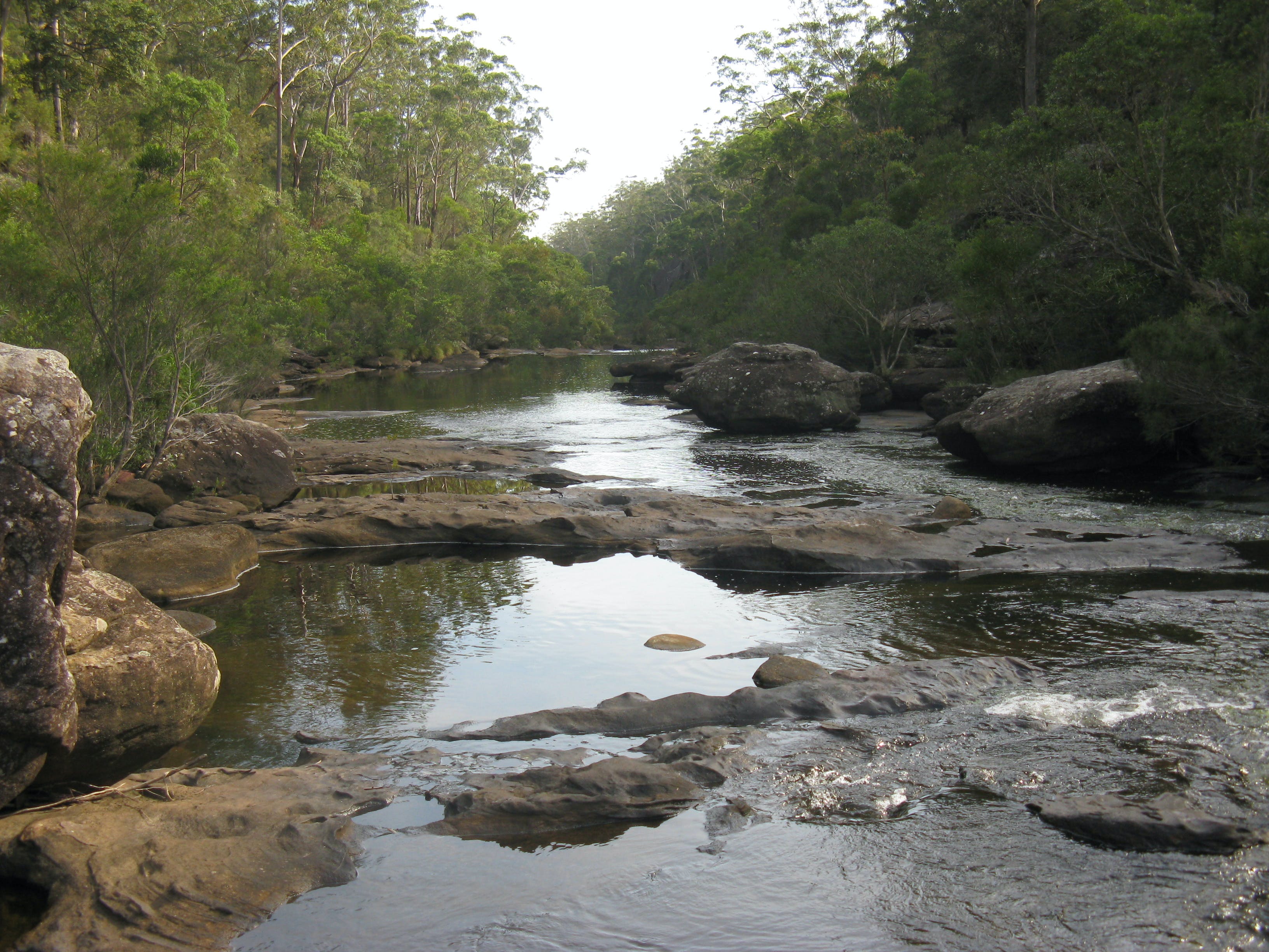 Georges River Nature Reserve Logo and Images