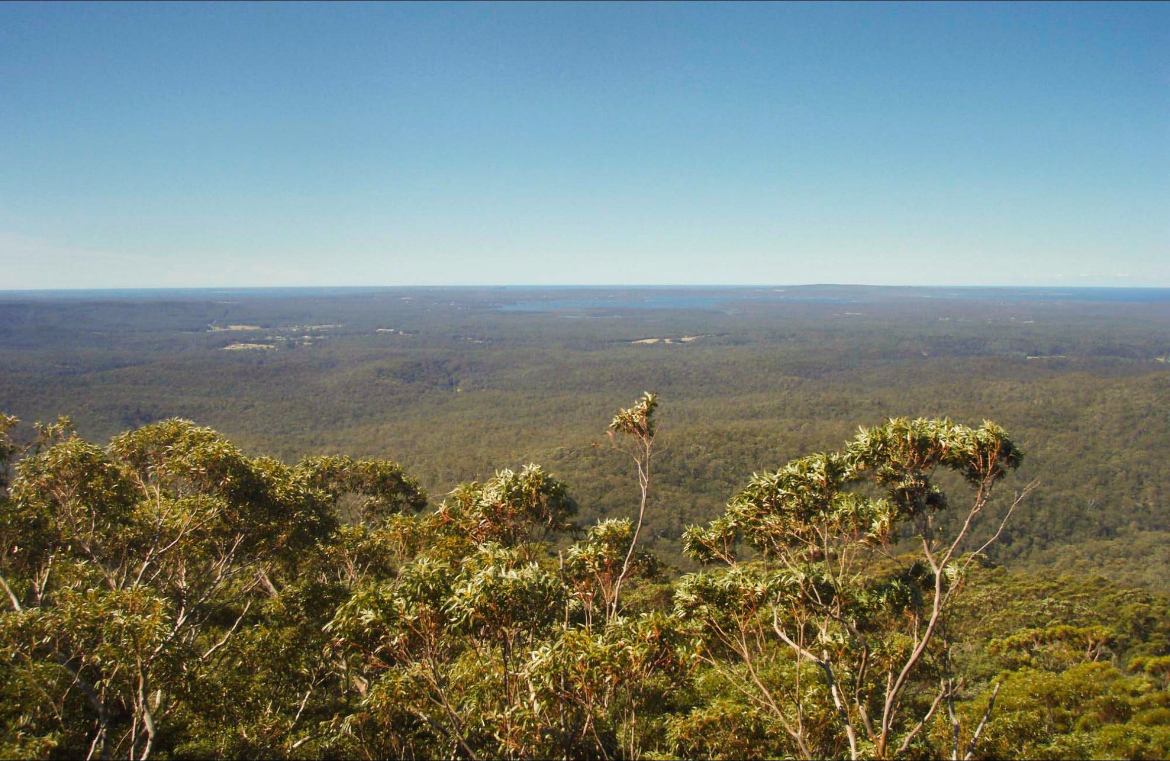 Jerrawangala National Park Logo and Images