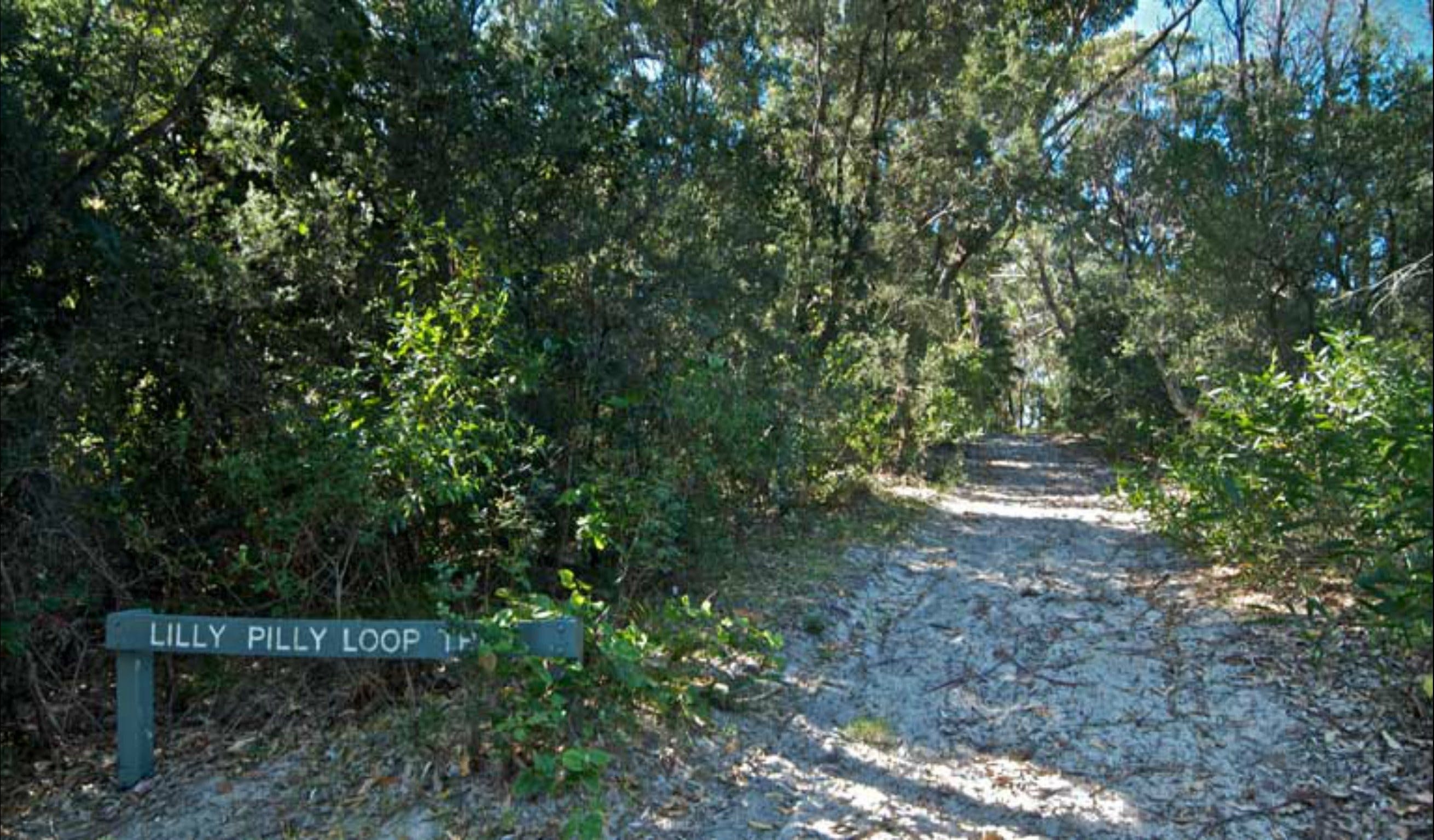 Lillypilly loop trail Logo and Images