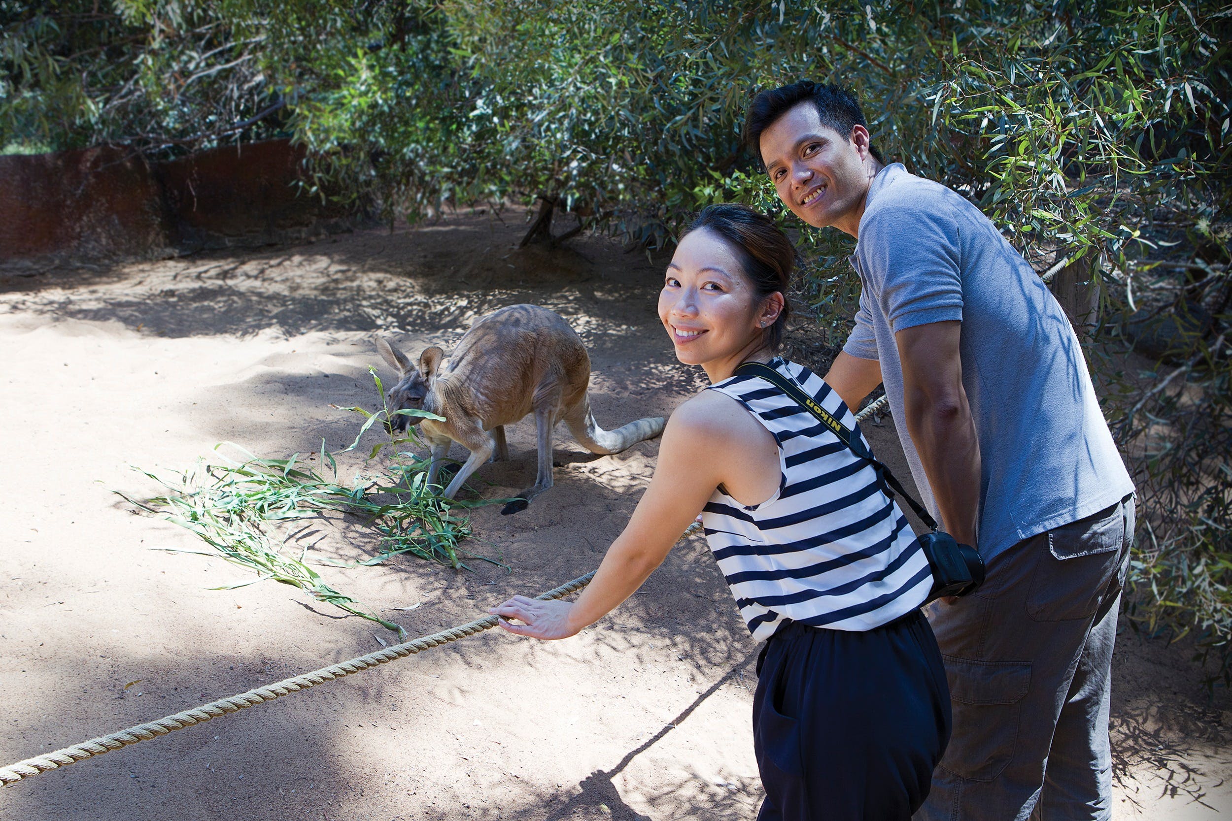 Perth Zoo Logo and Images
