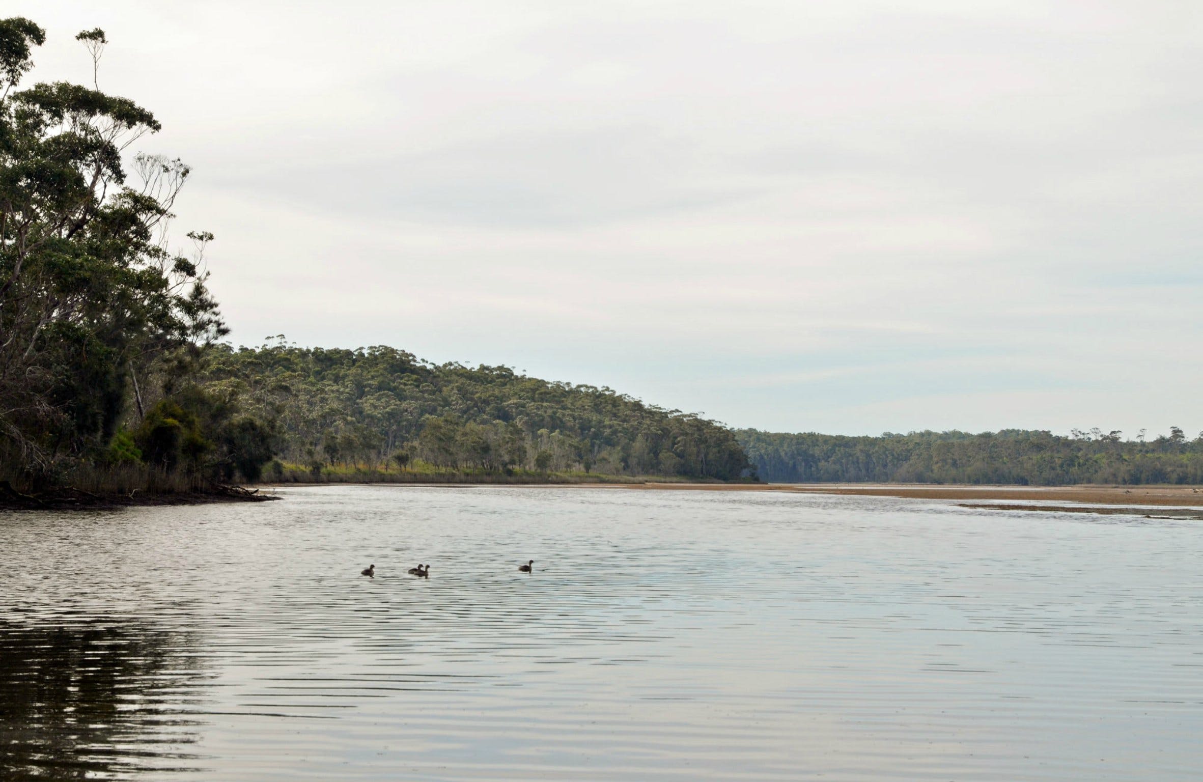 Tabourie Lake Logo and Images