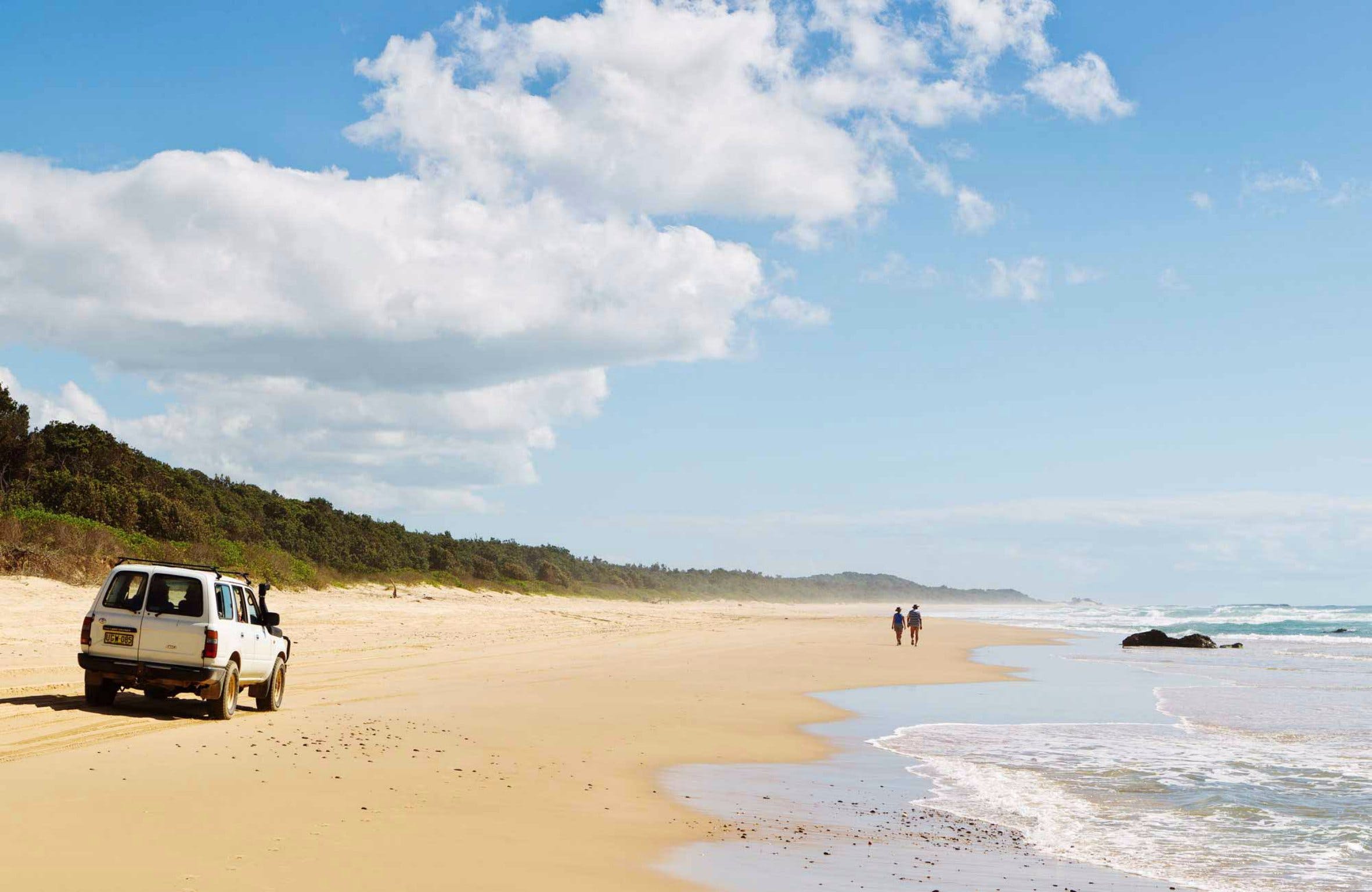 Bongil Bongil National Park Logo and Images