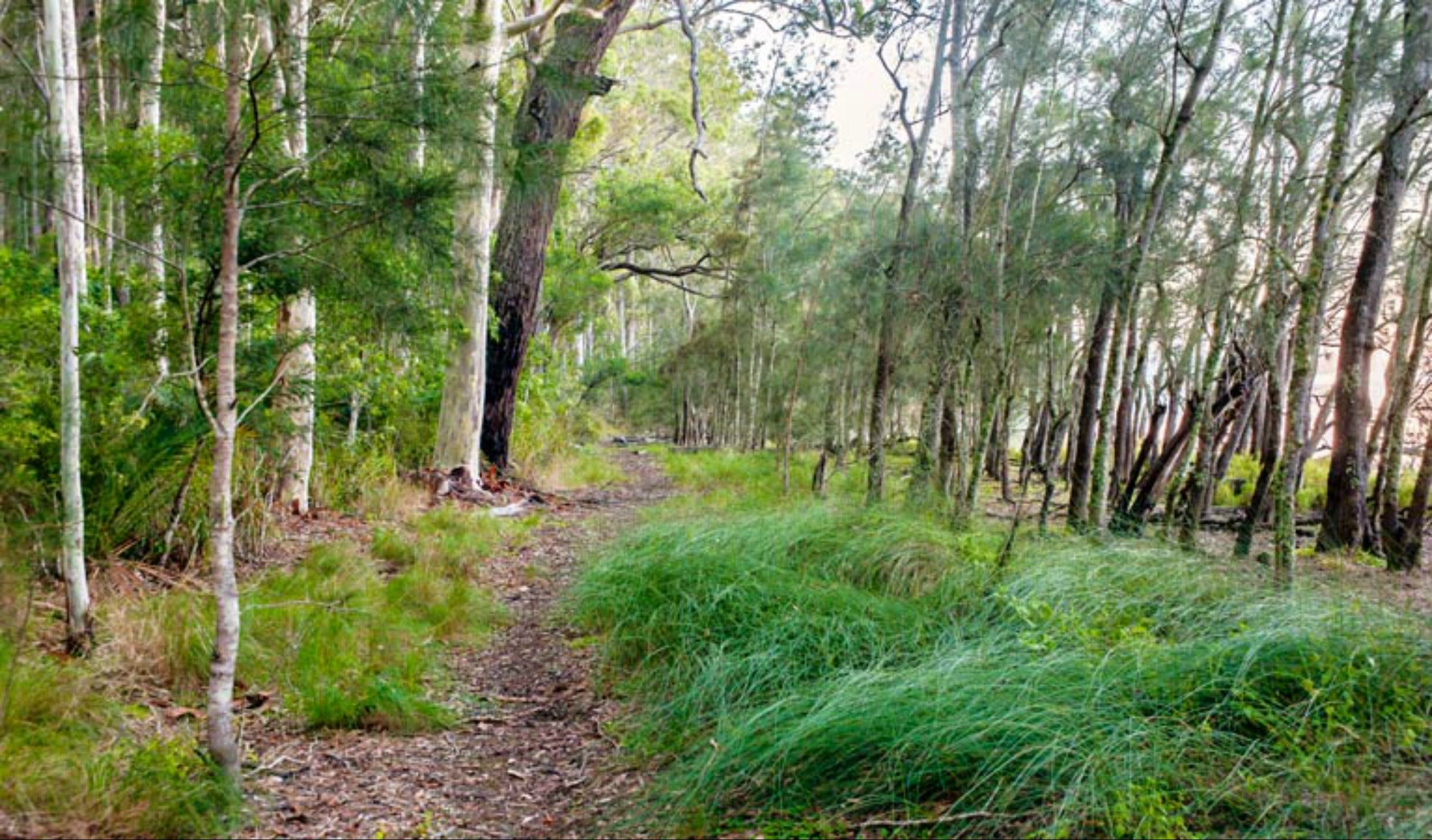 Meroo Lake walking track Logo and Images
