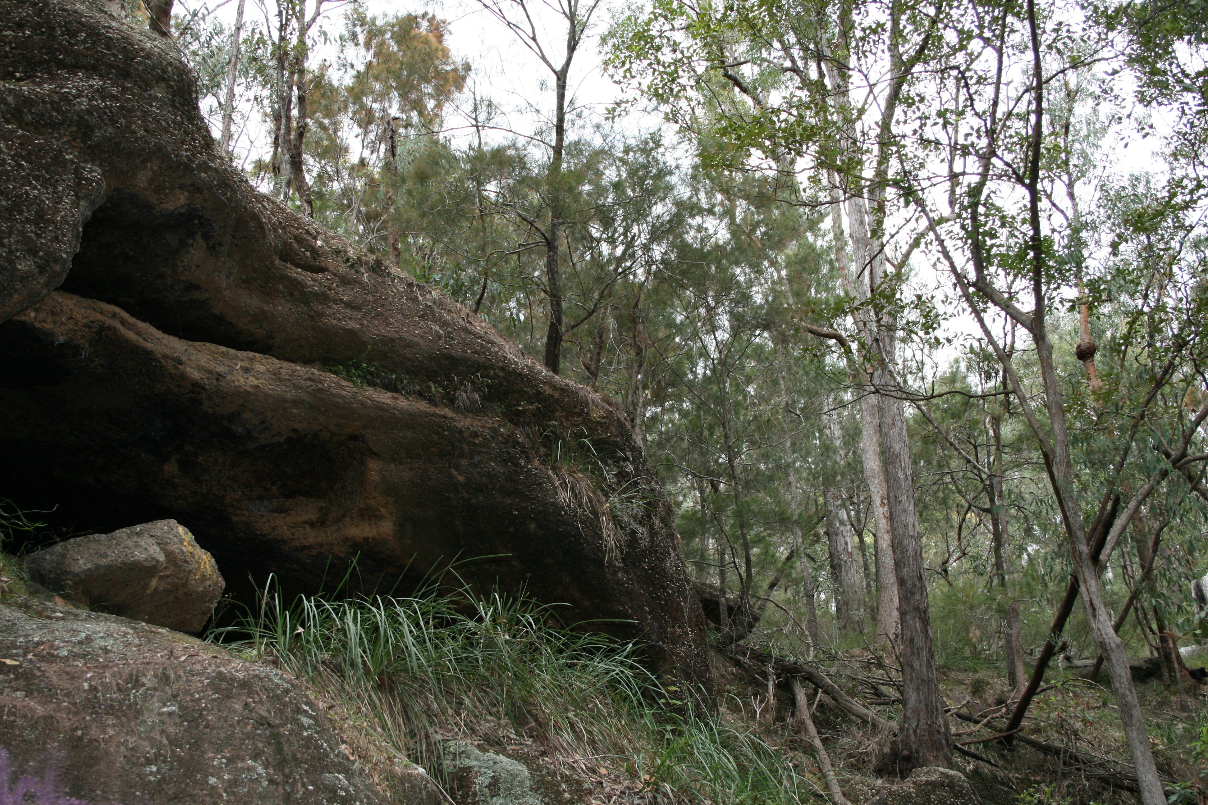 Springwood Conservation Park Logo and Images