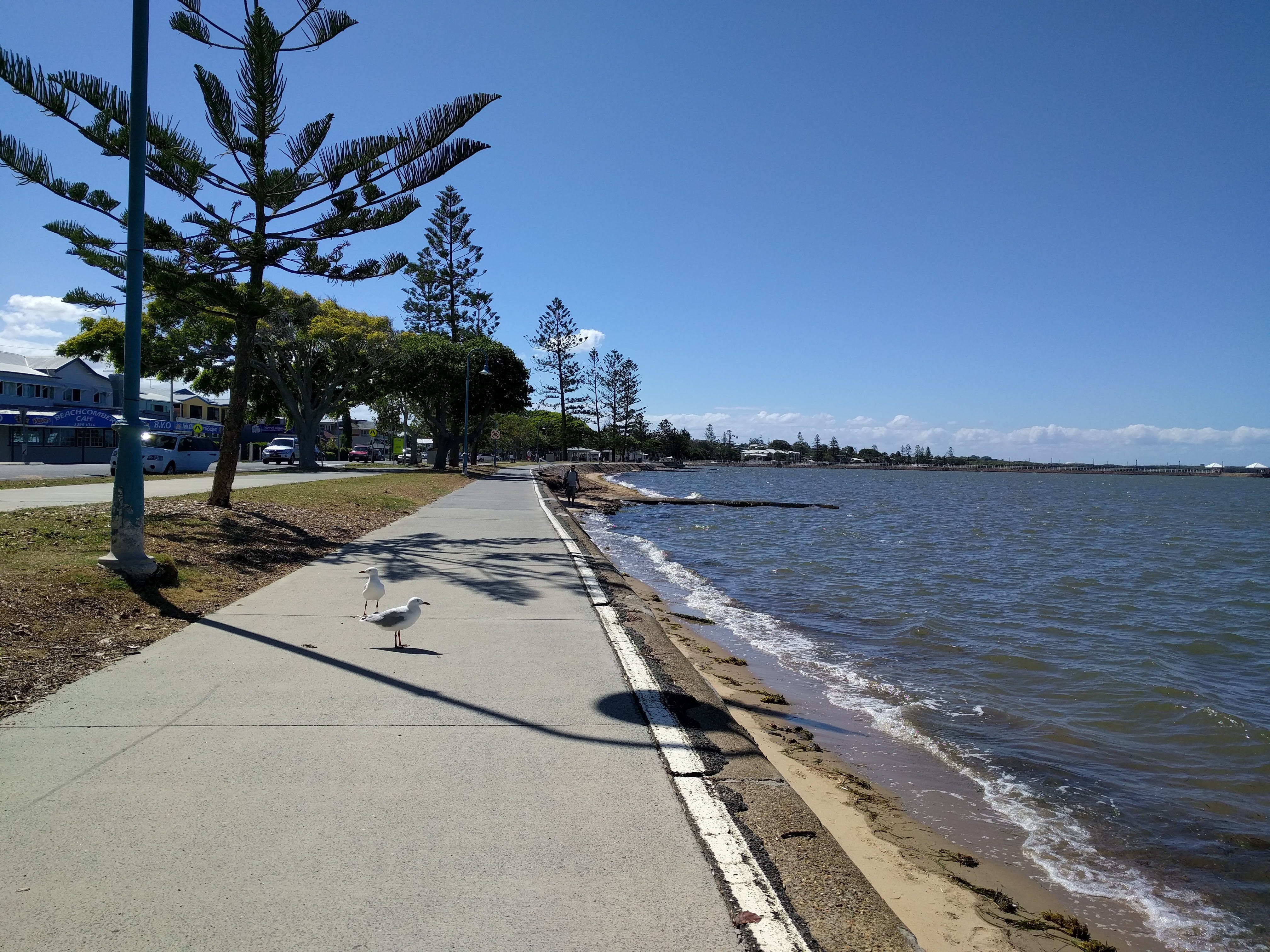 Wynnum Logo and Images