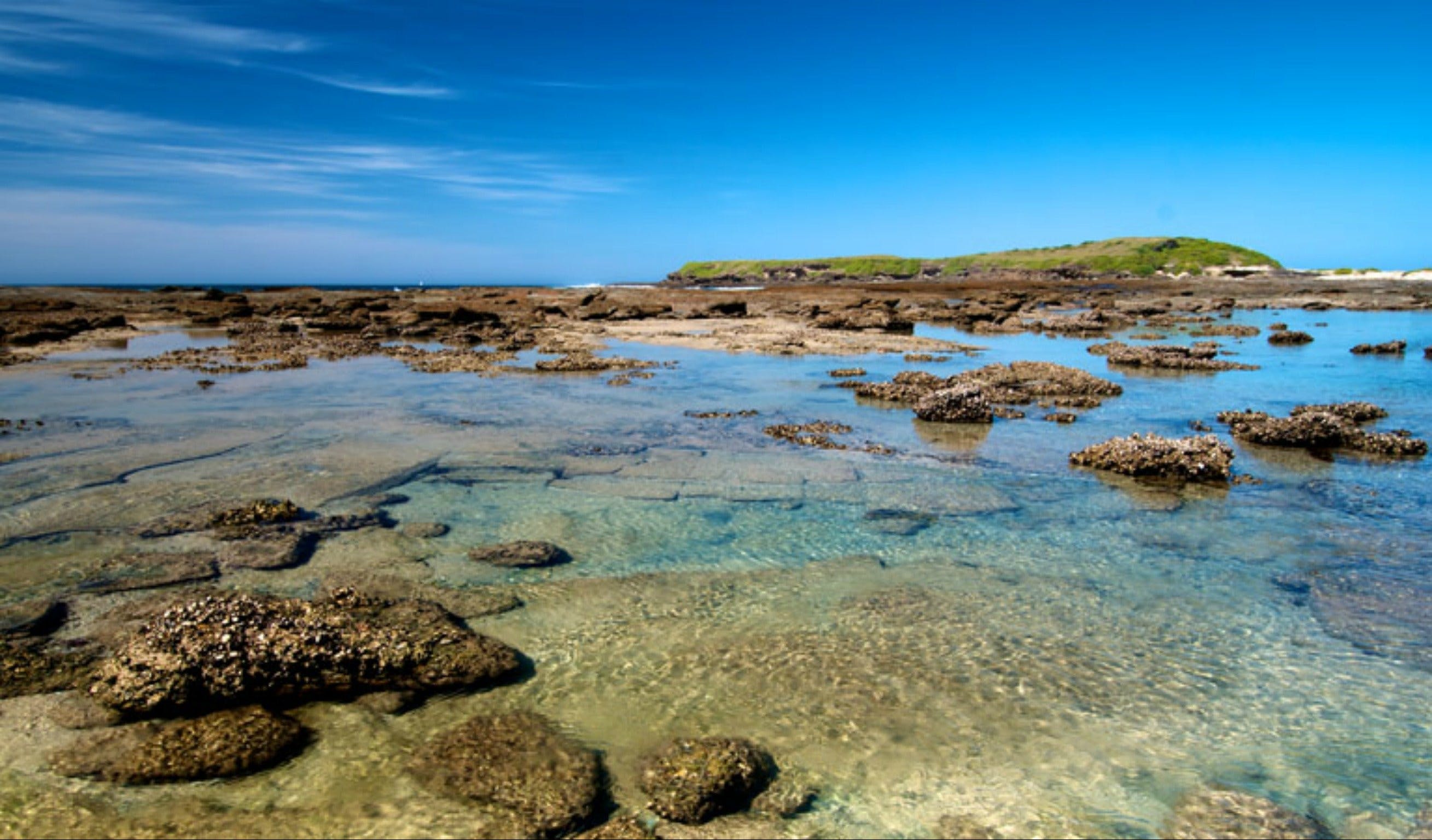 Moonee Beach trail Logo and Images