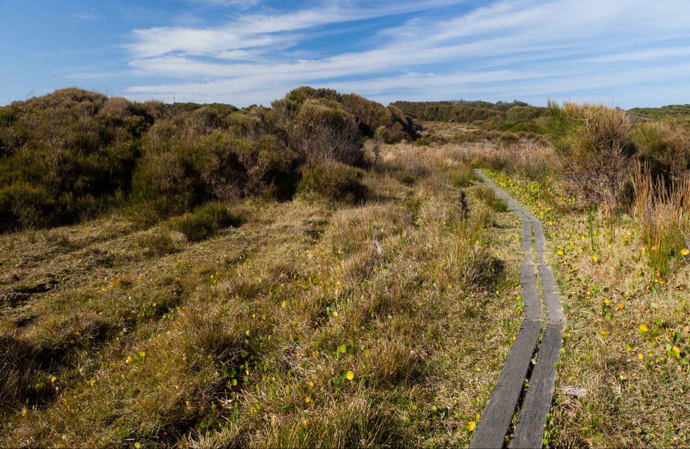 Murramarang Aboriginal Area Walking Track Logo and Images