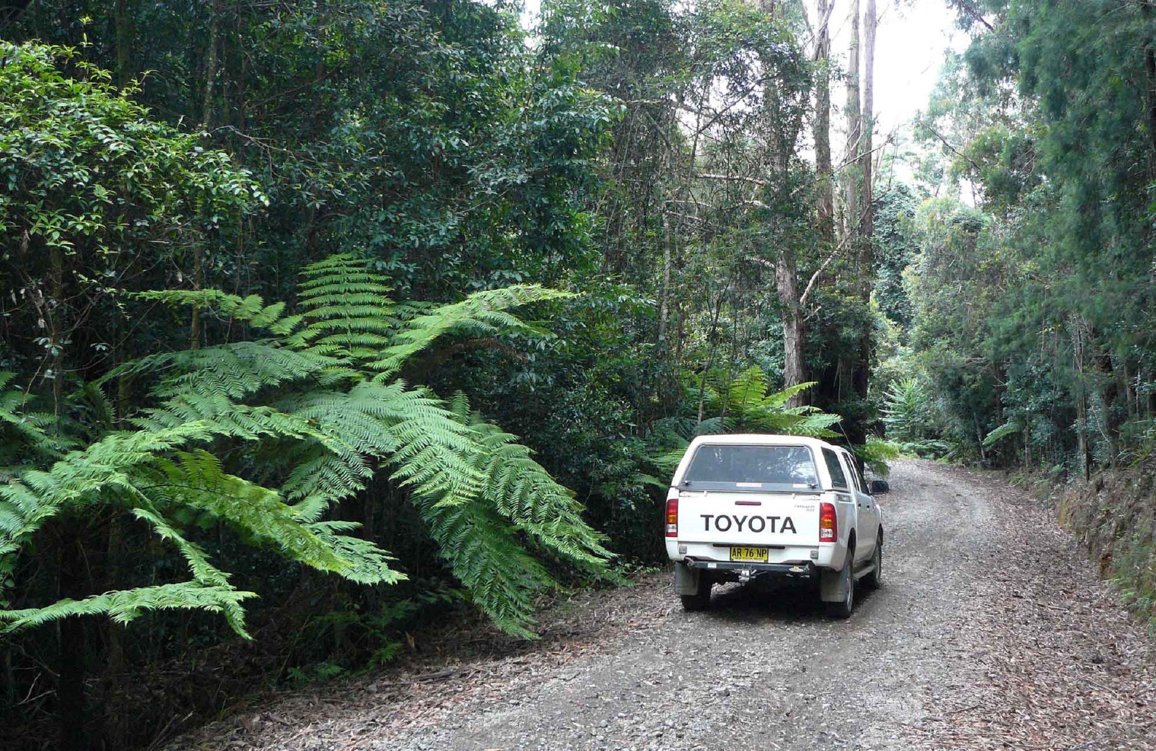 Orara Escarpment 4WD Touring Route Logo and Images