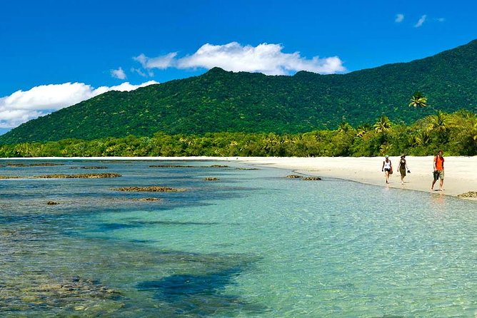 Private Daintree National Park Day Tour from Cairns Including Cape Tribulation and Mossman Gorge Logo and Images