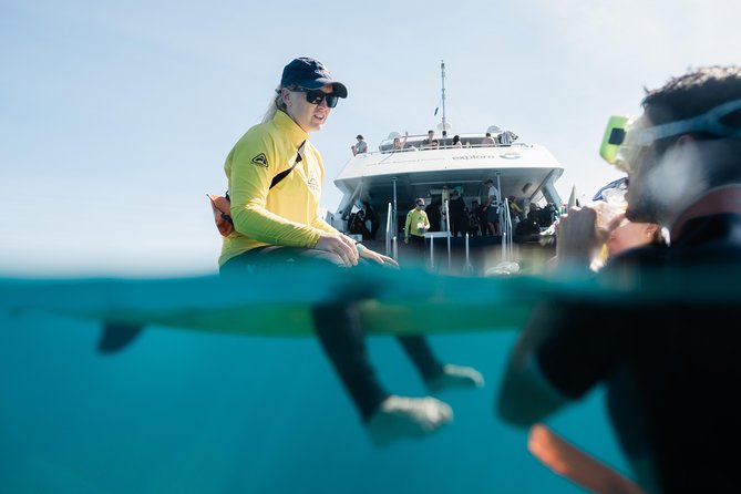 Full Day Snorkel In The Great Barrier Reef Logo and Images