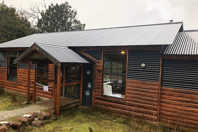After Dark Tasmanian Devil Feeding Tour at Cradle Mountain Logo and Images