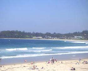 Mollymook Surf Beach Logo and Images