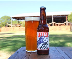 Feral Brewing Company Logo and Images