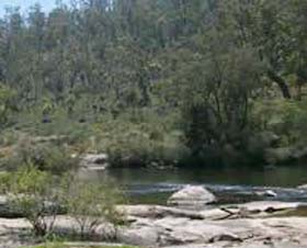Wellington Discovery Forest Logo and Images