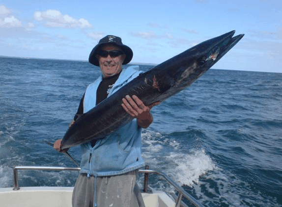 Jervis Bay Fishing and Charters Logo and Images