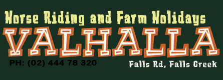 Valhalla Horse Riding Logo and Images