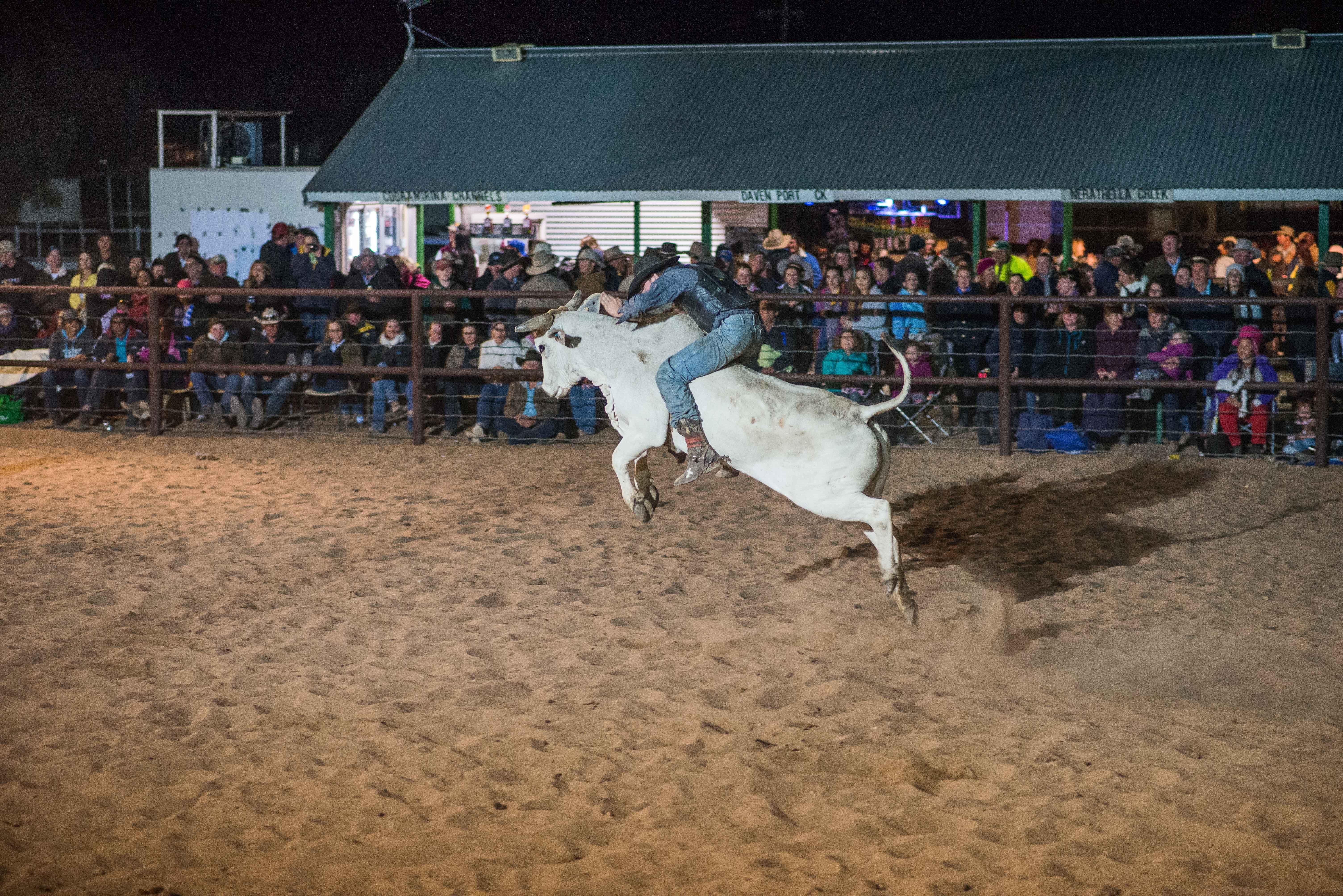 Bedourie Campdraft, Rodeo, Gymkhana Logo and Images