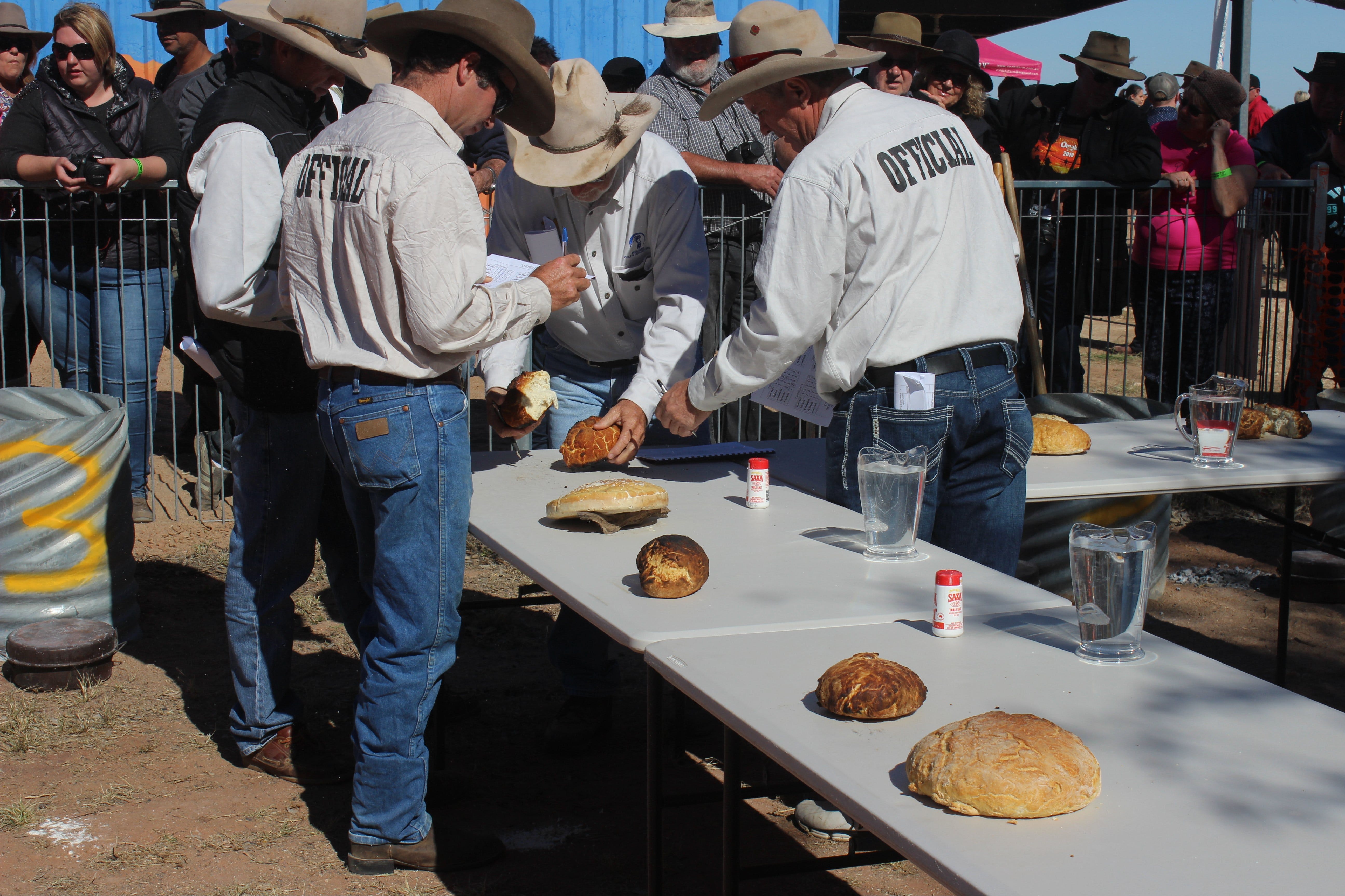 Bedourie Camel and Pig Races and Camp oven Cook-off Logo and Images