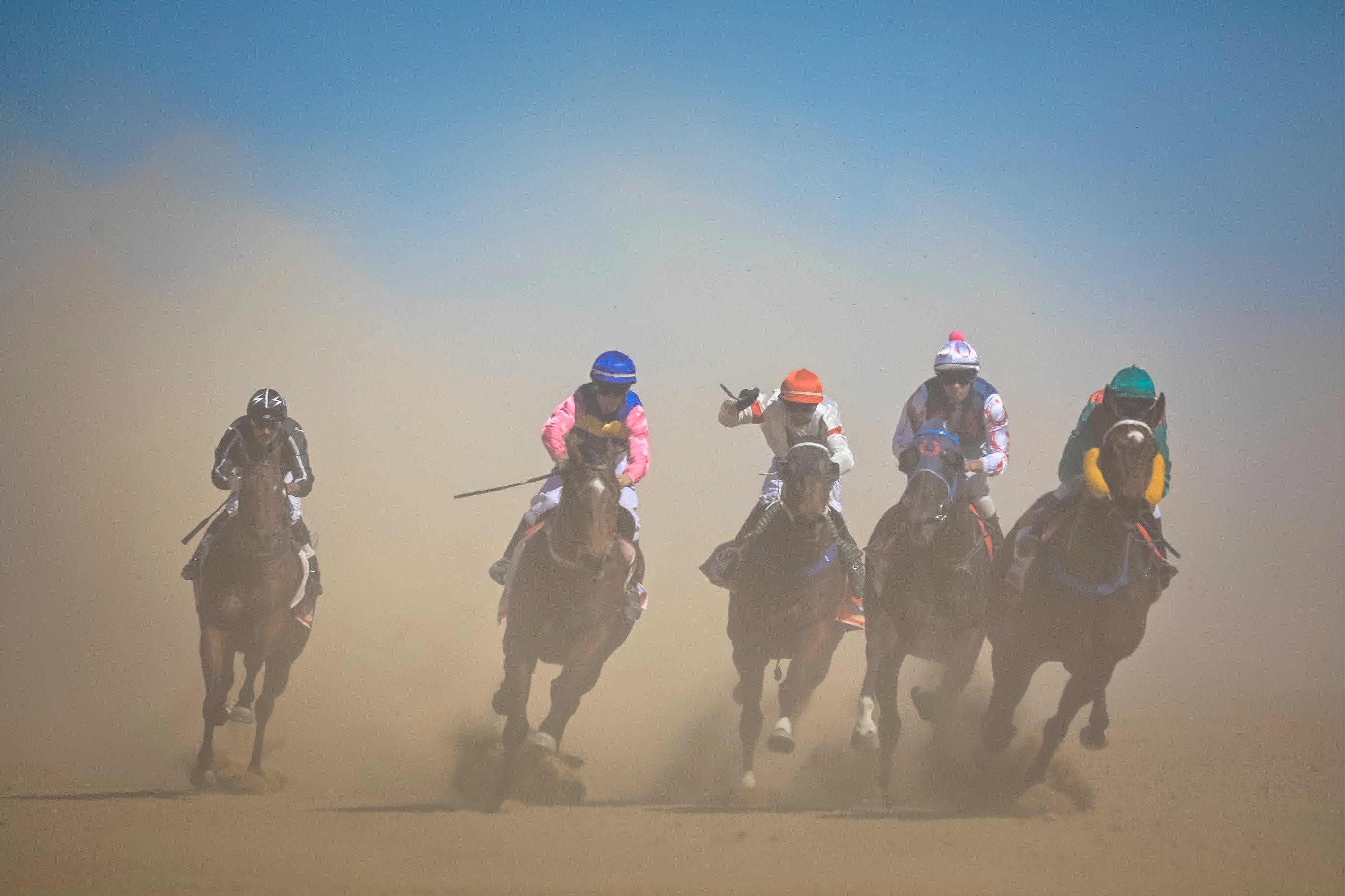 Birdsville Races Logo and Images
