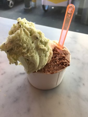 Pidapipo Gelateria Logo and Images