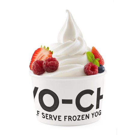 Yo-Chi Frozen Yogurt Logo and Images