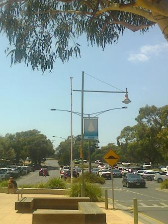 Anglesea Fish Shop Logo and Images