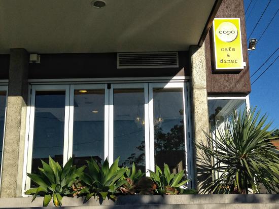 Copo Cafe & Diner Logo and Images