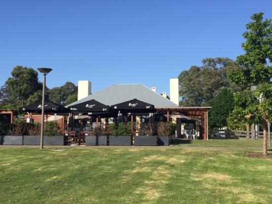 The Local Shed Cafe Logo and Images