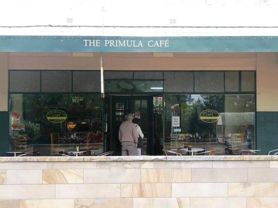 The Primula Cafe Logo and Images