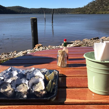 Hawkesbury River Oyster Shed Logo and Images