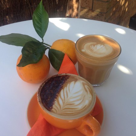 The Orange Tree - licensed cafe by the river Logo and Images