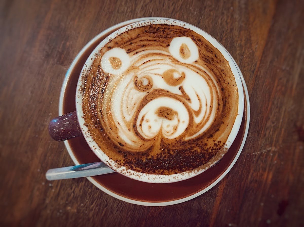 The Mountain Brew Coffee Logo and Images