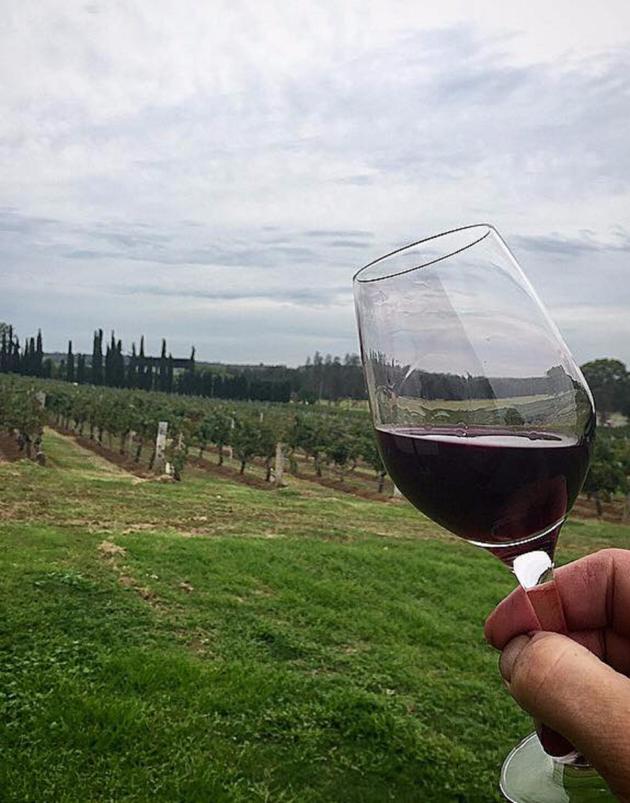 Lake's Folly Vineyard Logo and Images