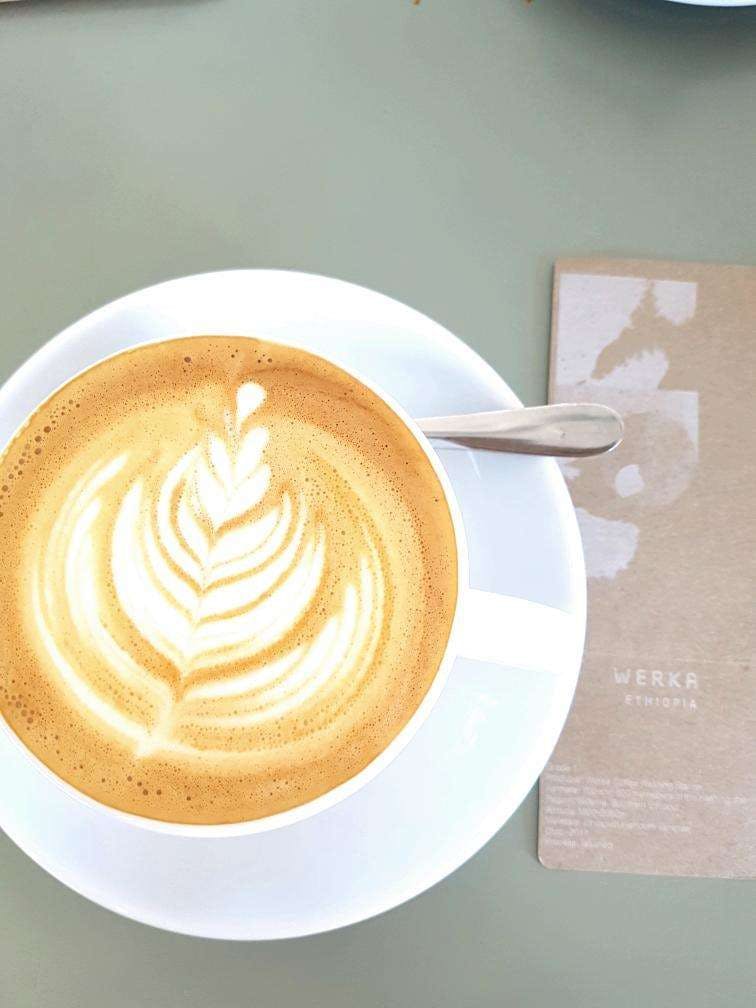 Light Coffee Logo and Images