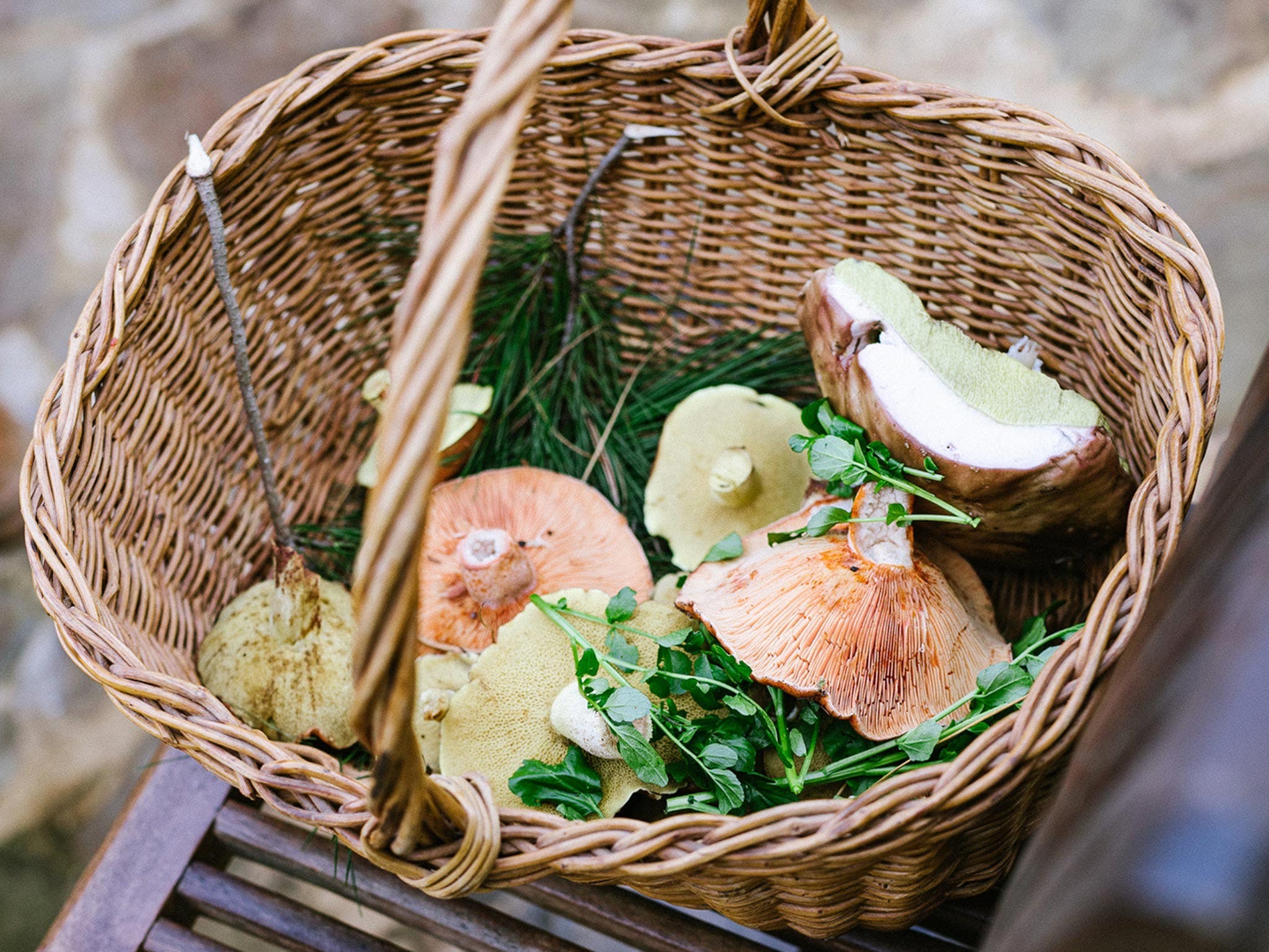 Villetta Porcini Logo and Images