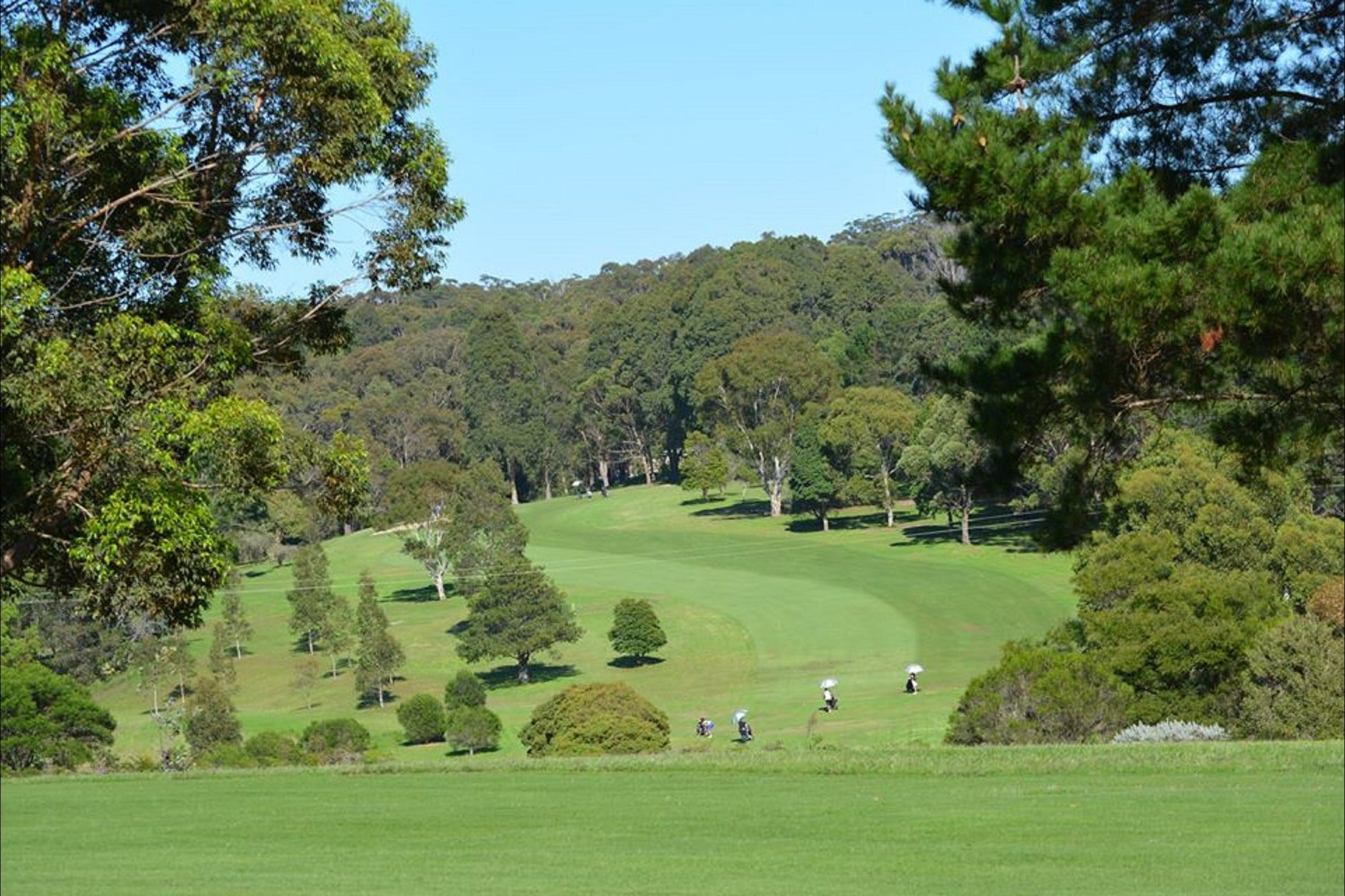 Bermagui Country Club Logo and Images