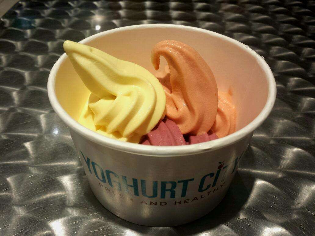 Yoghurt City Logo and Images