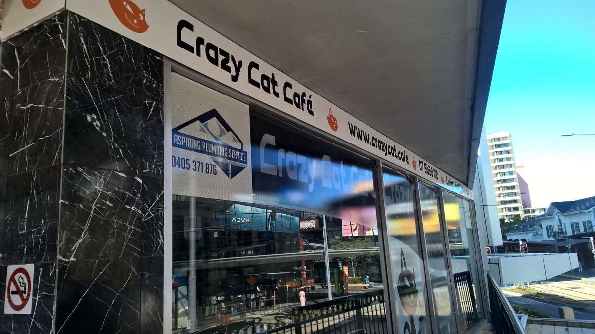 Crazy Cat Cafe Logo and Images