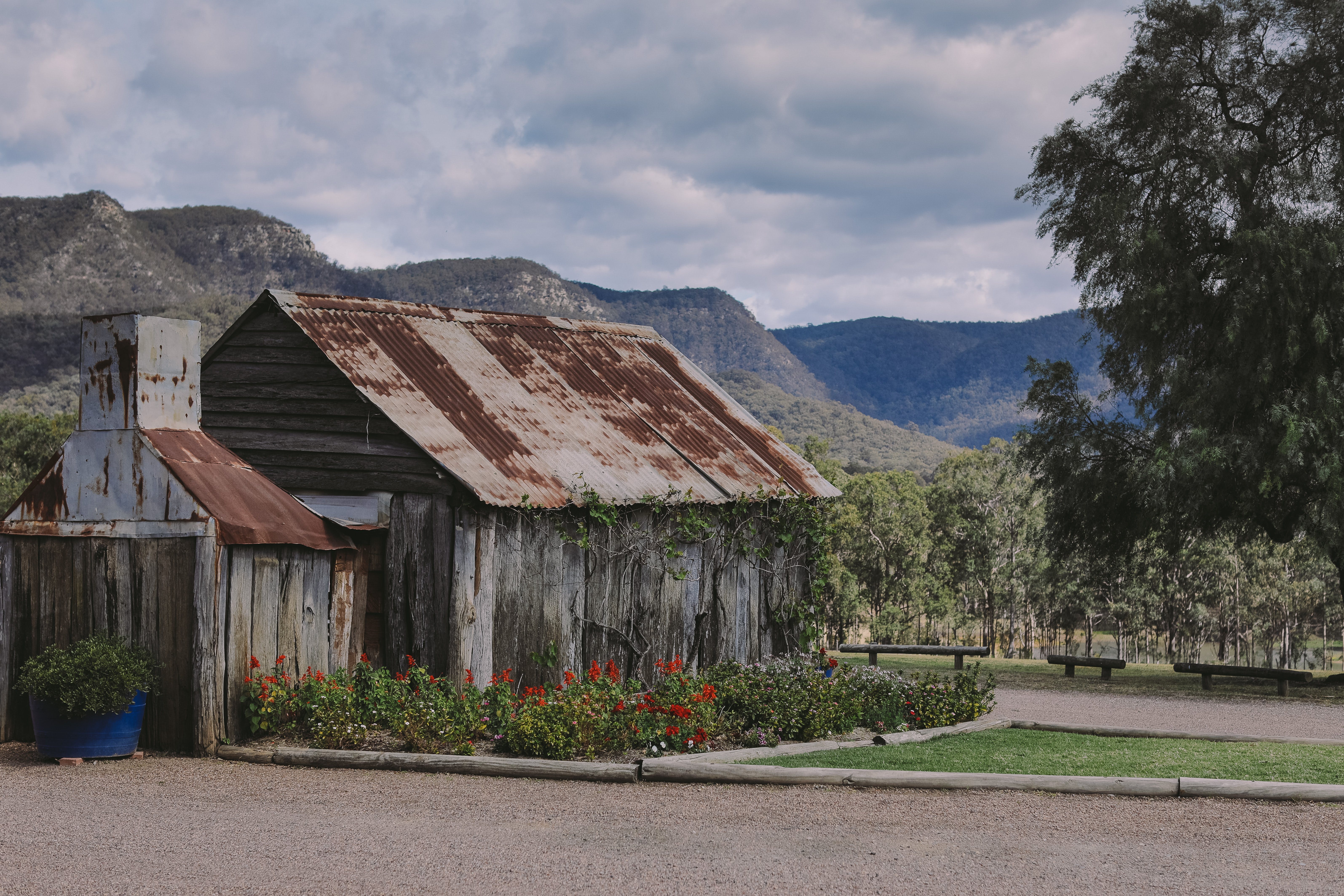 Tyrrell's Wines Logo and Images