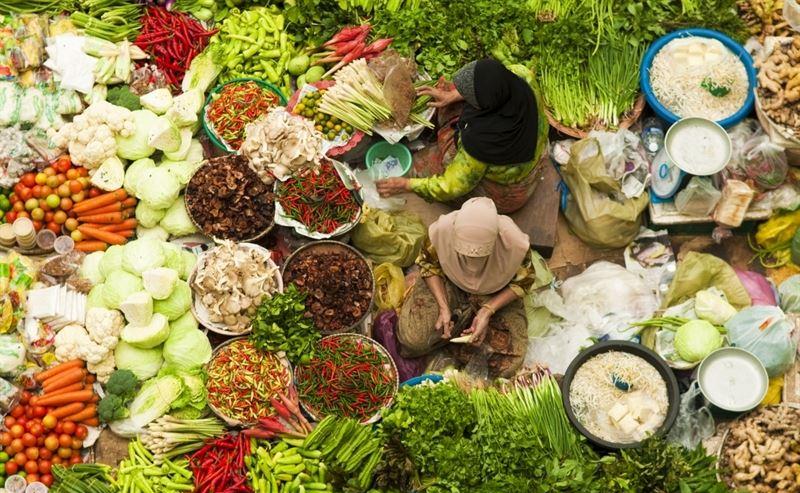 Fresh - Natural Asian Logo and Images