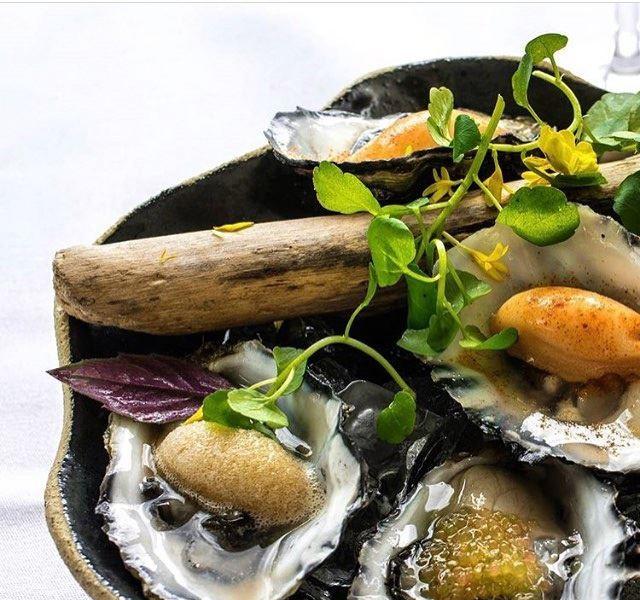 Noosa Waterfront Restaurant Logo and Images