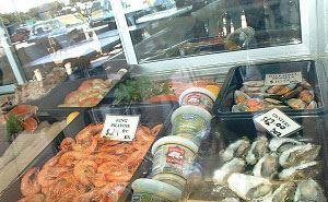 Coolum Seafoods Logo and Images