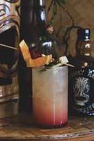 Jungle Bar Logo and Images