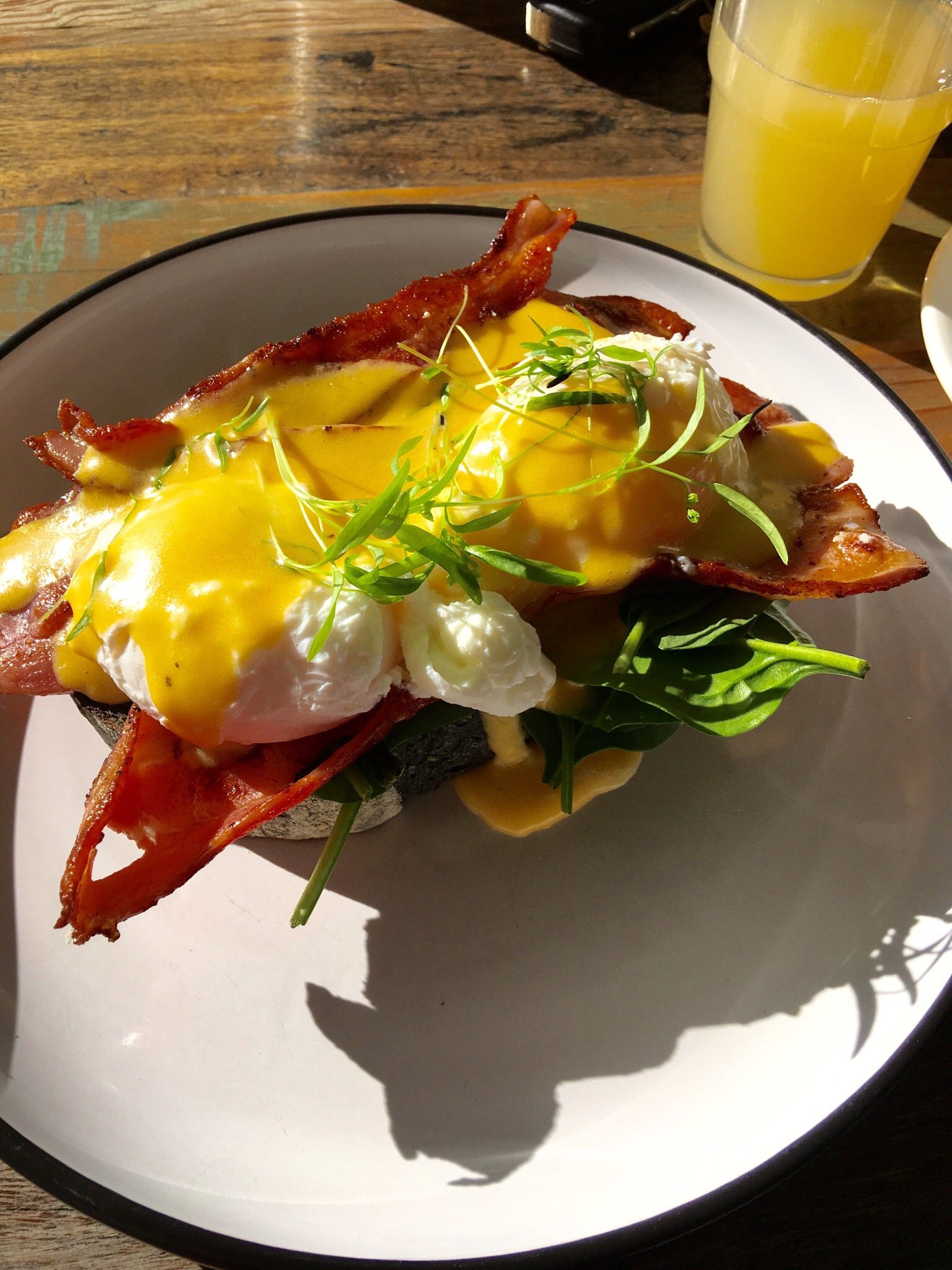 The Lazy Dog Logo and Images