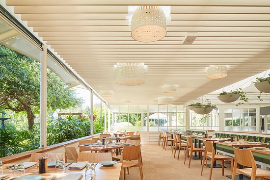 Lily Restaurant Logo and Images