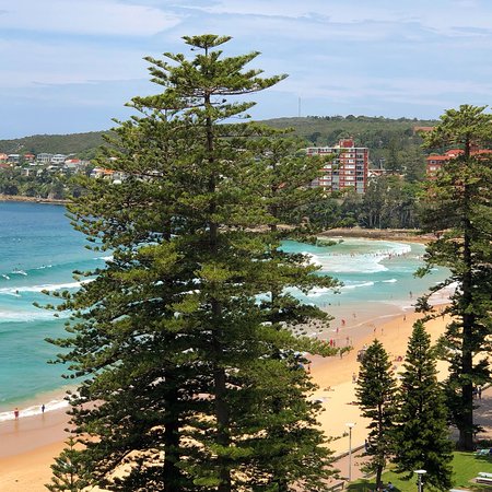 Manly Pacific Novotel Logo and Images