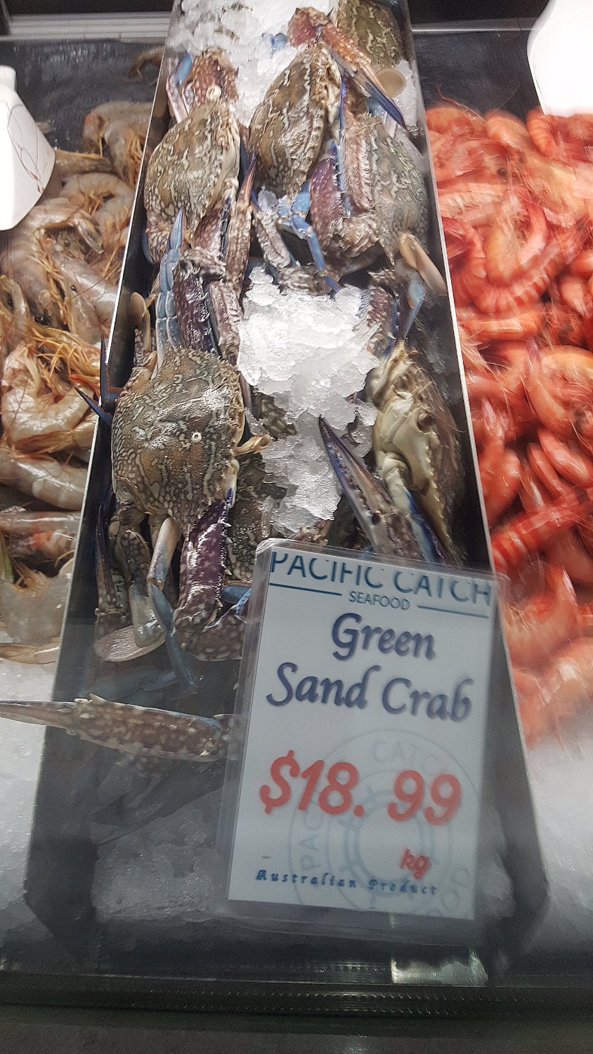 Pacific Catch Seafood Logo and Images